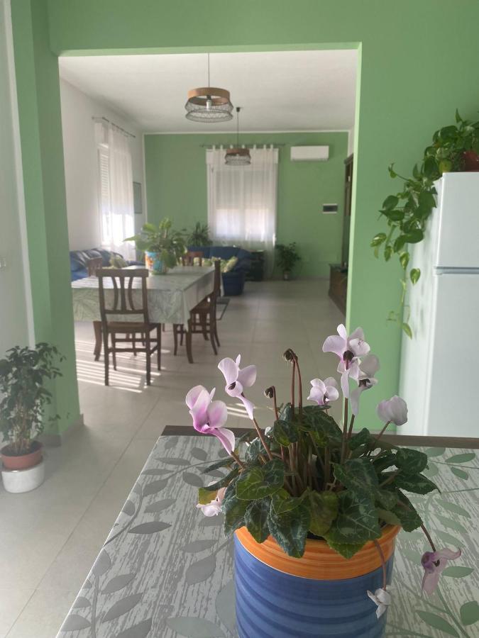 La Casa Verde Apartment Cinisi Luaran gambar